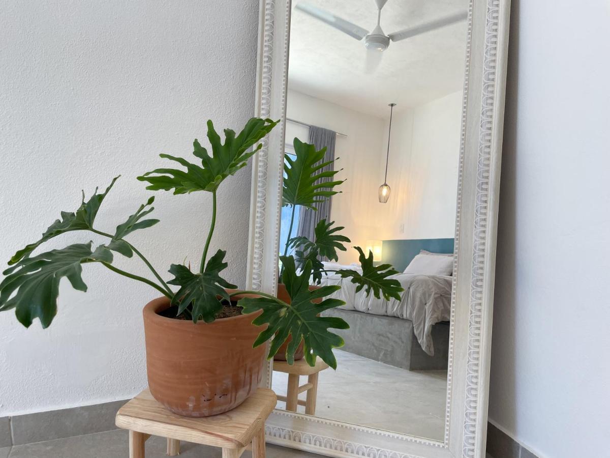 La Ventana Hostel Екстериор снимка